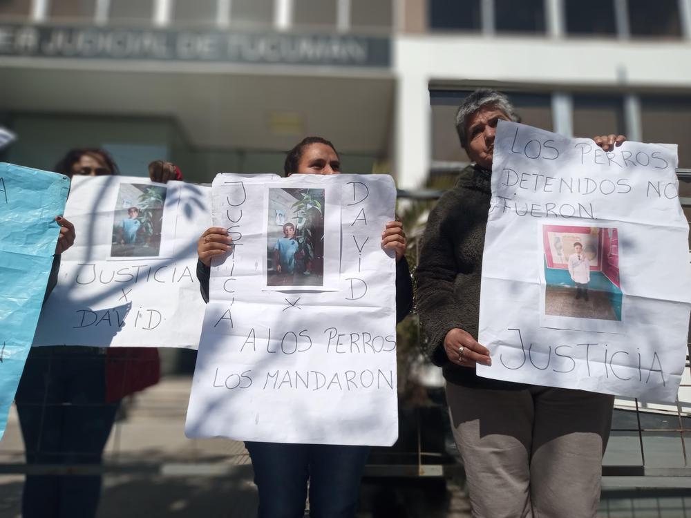 WhatsApp Image 2024-08-15 at 13.29.07 (1)