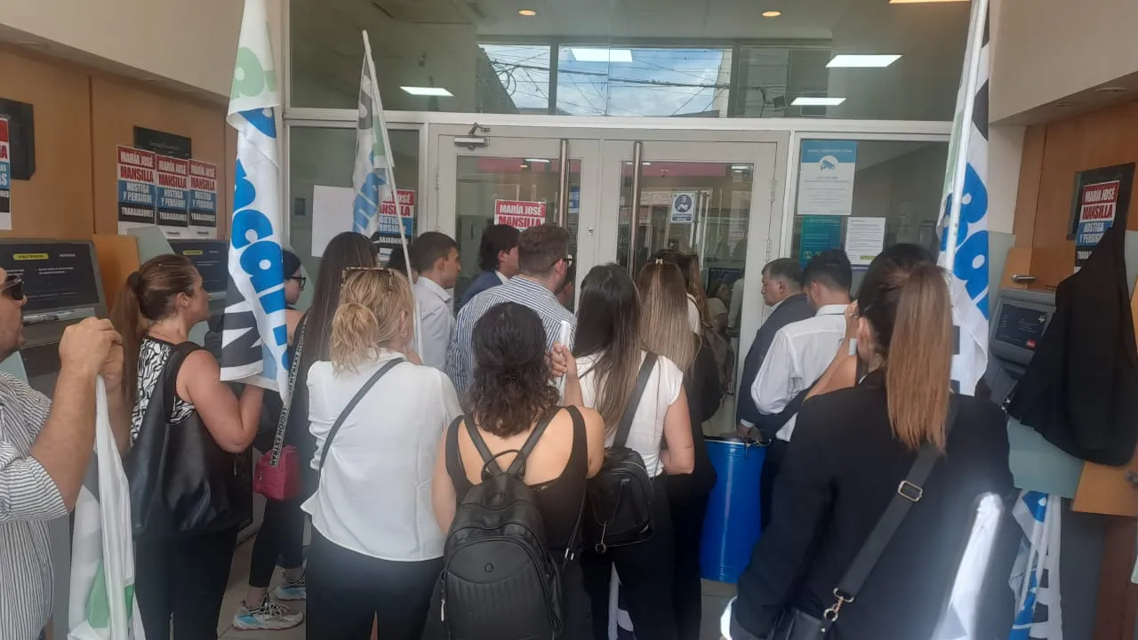 WhatsApp Image 2025-12-05 at 14.15.17