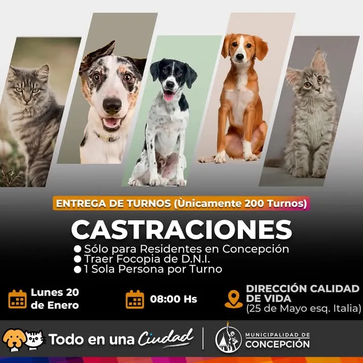 WhatsApp Image 2025-01-14 at 11.11.15