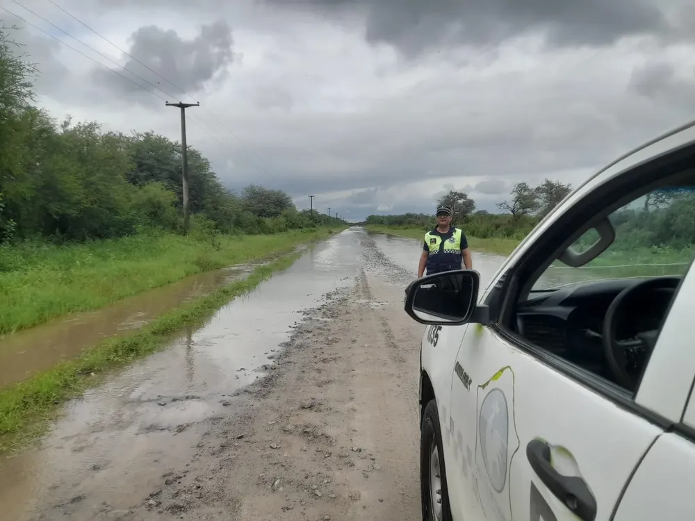 WhatsApp Image 2026-01-20 at 17.18.52