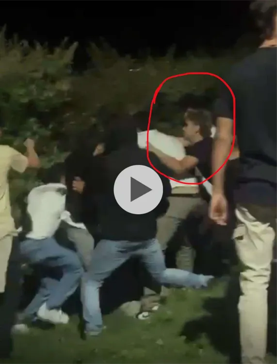 document - 2026-02-05T170000.341_page-0003