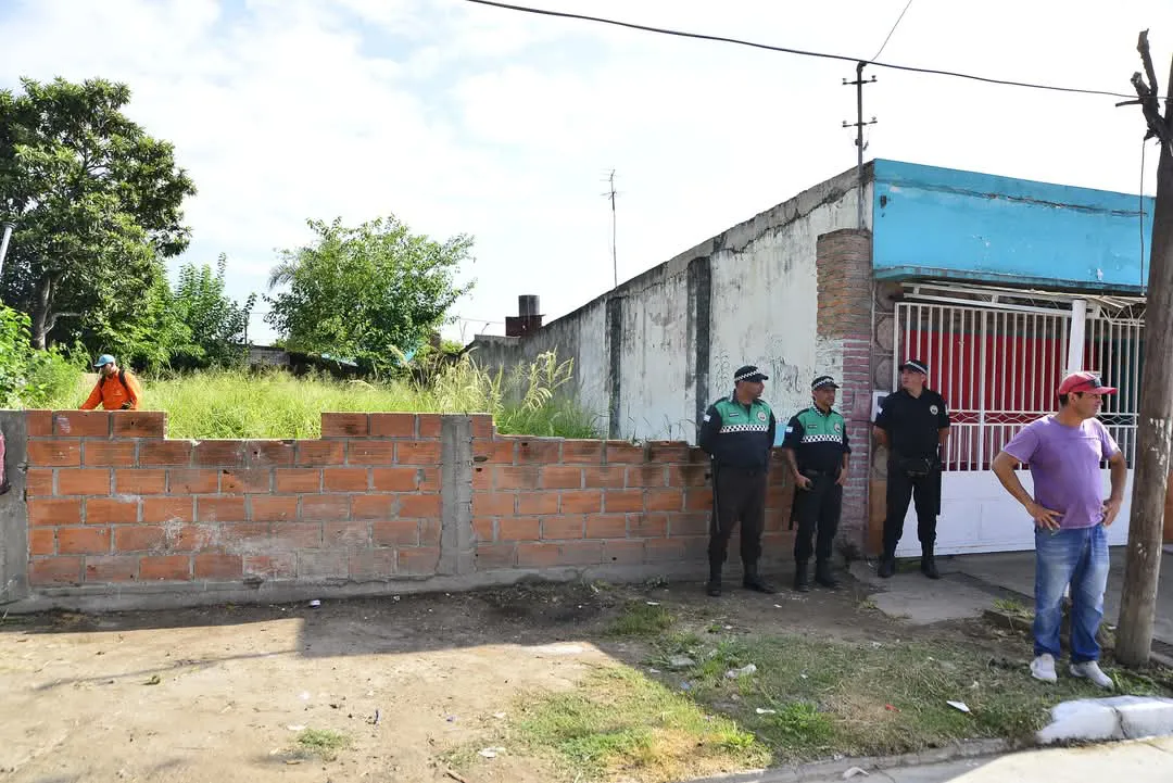 WhatsApp Image 2025-01-20 at 14.03.15