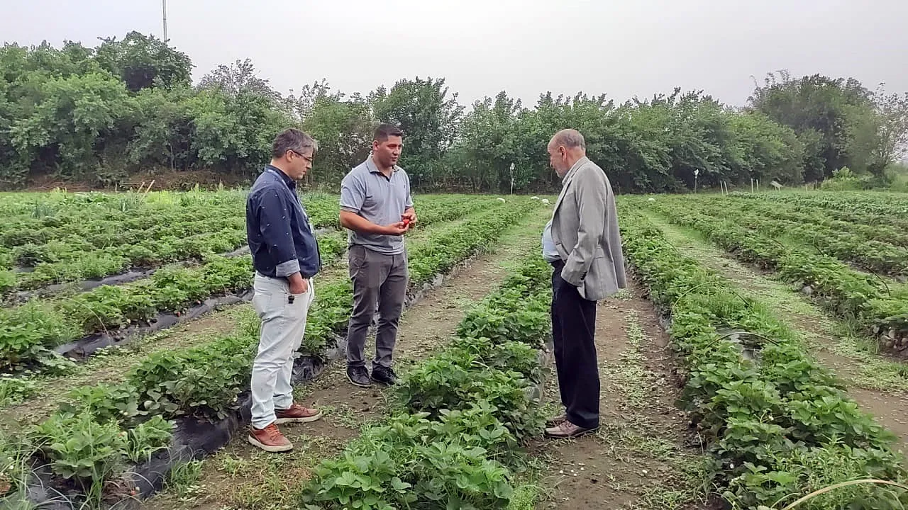 MPF - SEMILLA MONTEROS