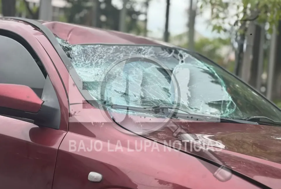 Diseño sin título (85)