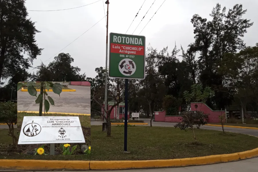 Diario Digital Cuerpo (44)