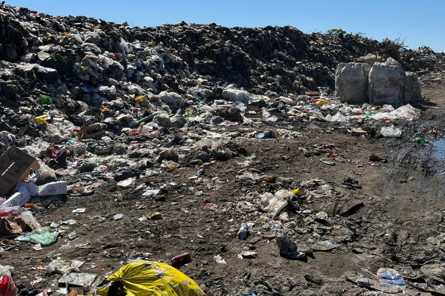 Diario Digital Cuerpo (1)