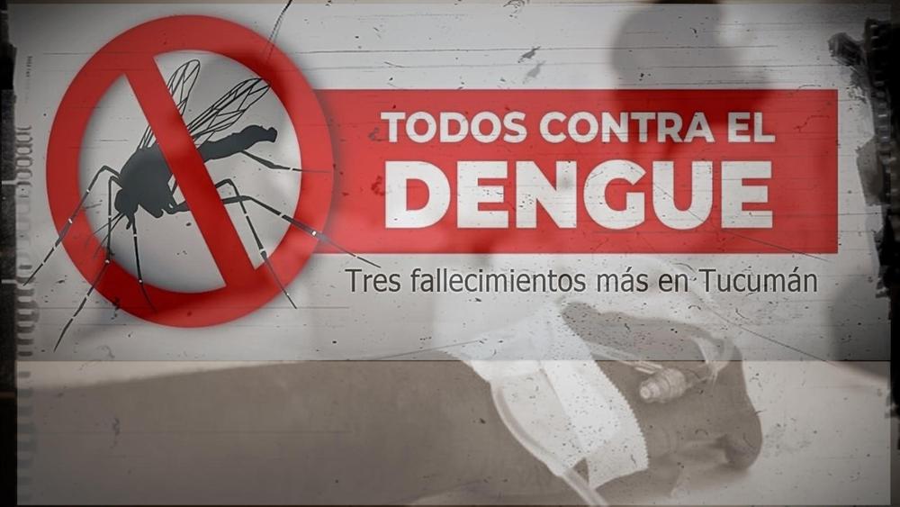 dengue - fallecimientos