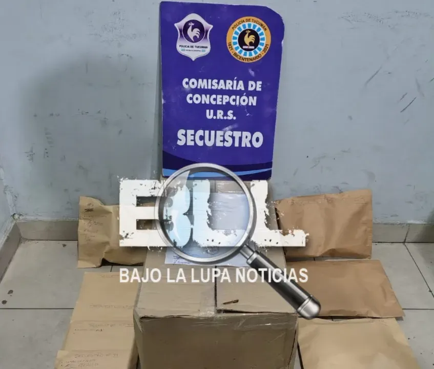 Diseño sin título (75)