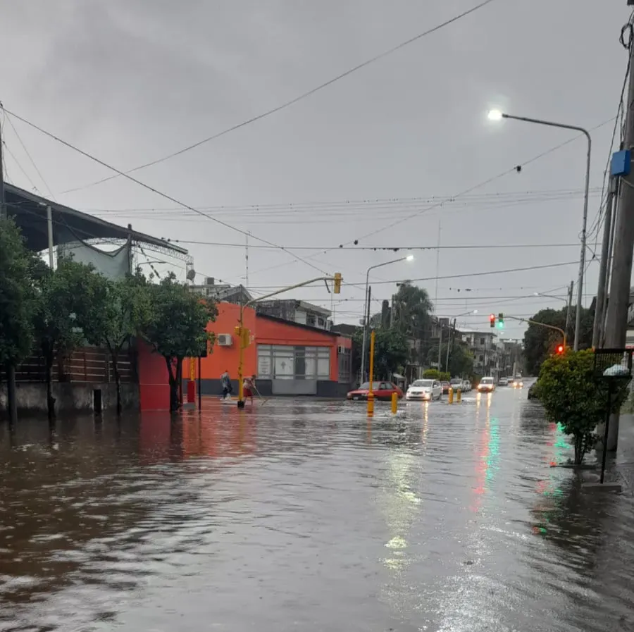 WhatsApp Image 2026-01-24 at 19.00