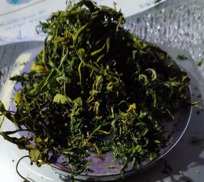 8b917fed-26eb-46b7-8ff5-7c3e19c23a8f