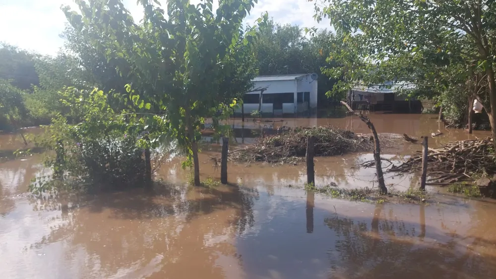 WhatsApp Image 2026-01-29 at 13.57.12