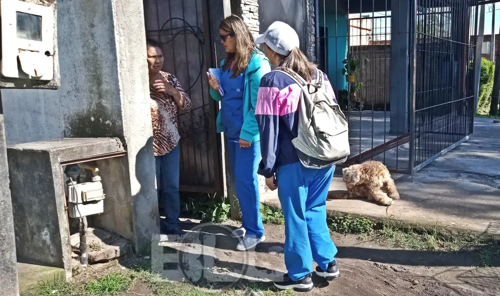 WhatsApp Image 2024-11-12 at 10.03.52