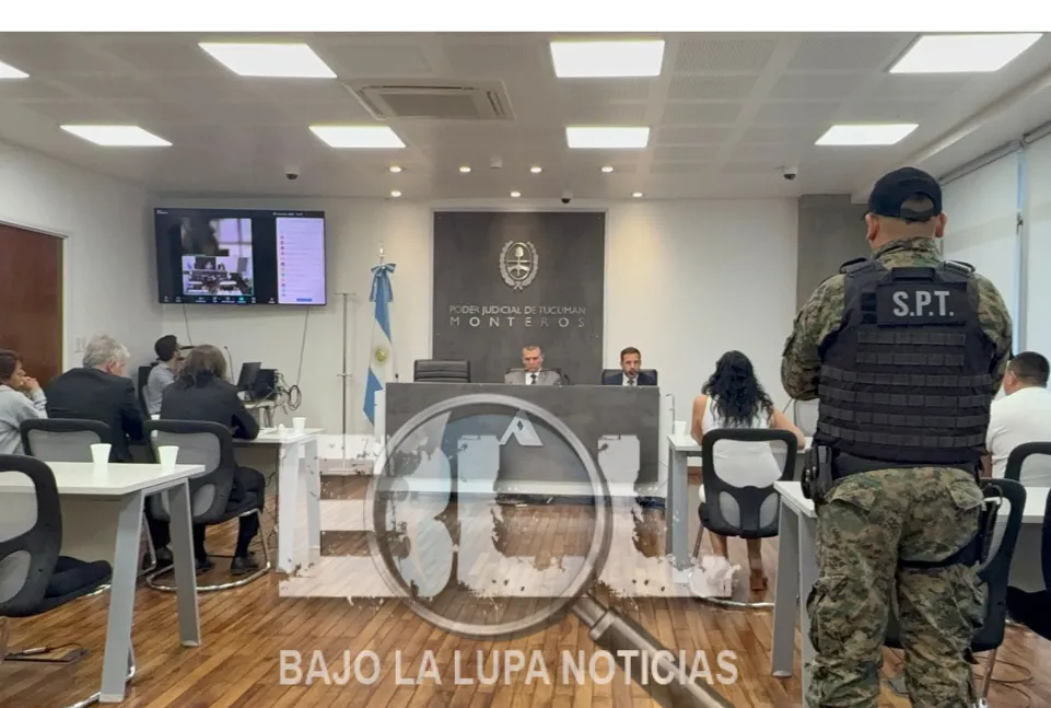 Diseño sin título - 2025-12-01T234522.138