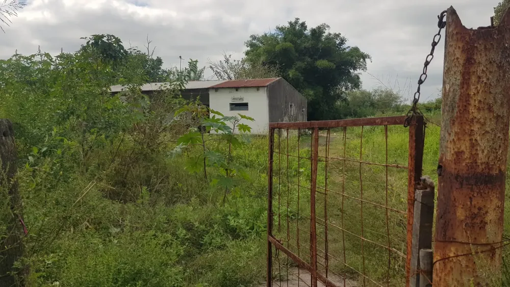 WhatsApp Image 2025-04-08 at 14.55.02