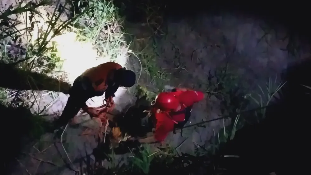 WhatsApp Image 2025-03-24 at 11.54