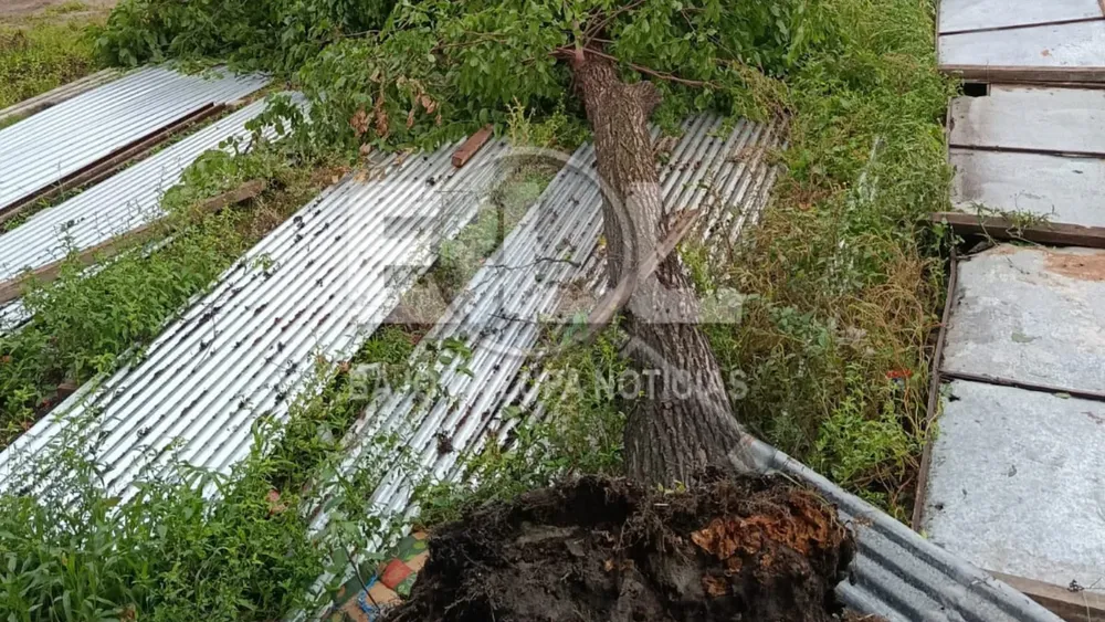 Diseño sin título (91)