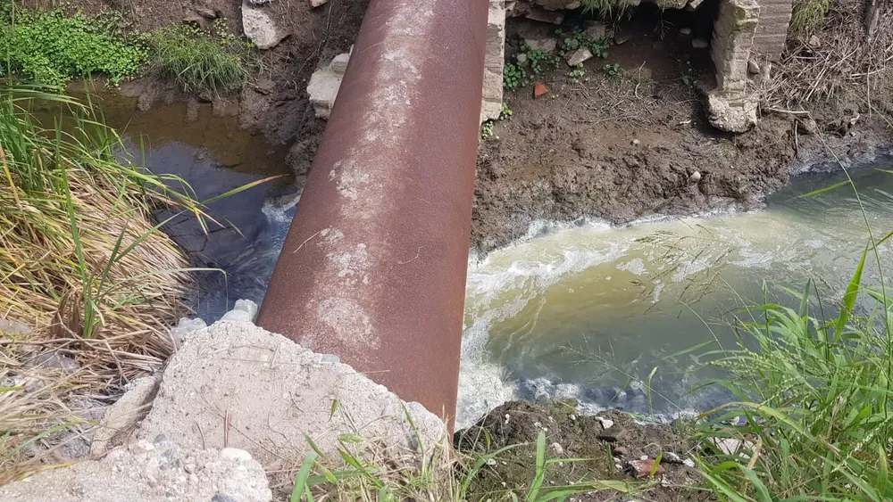 WhatsApp Image 2025-04-08 at 14.55.01