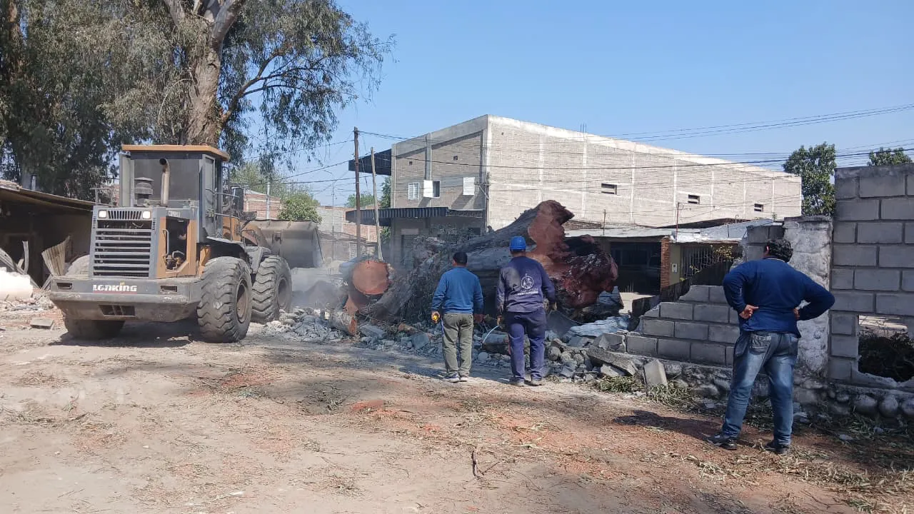 WhatsApp Image 2025-08-29 at 12.04.53