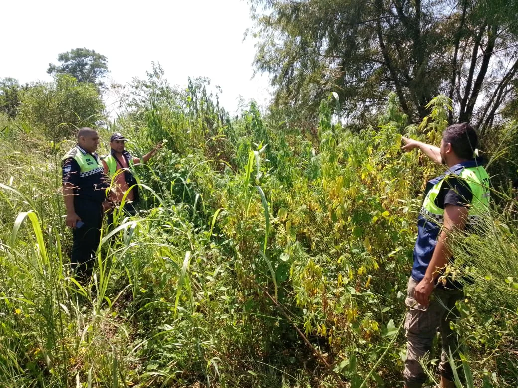 WhatsApp Image 2026-01-30 at 13.21.53