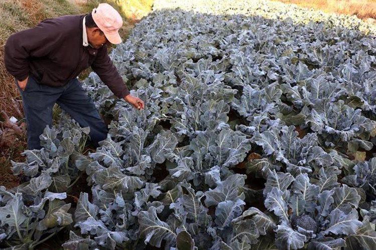 ce5f9720-ce35-4382-9e8a-63f7496fa193_749_499